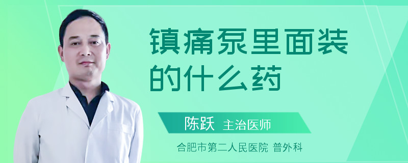 镇痛泵里面装的什么药