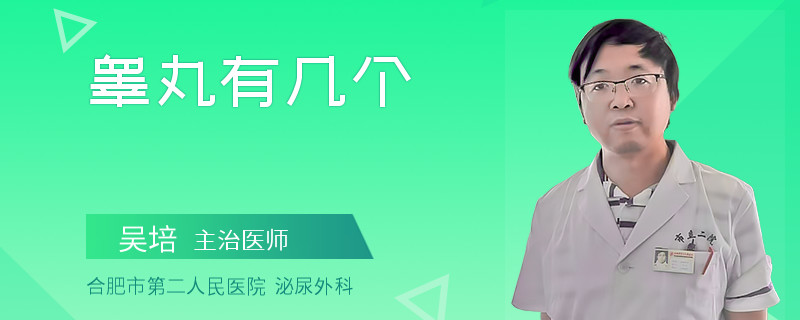 睪丸有幾個(gè)