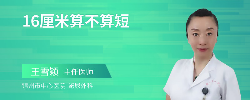 16厘米算不算短