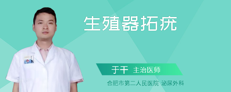 生殖器拓疣