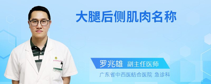 大腿后侧肌肉名称