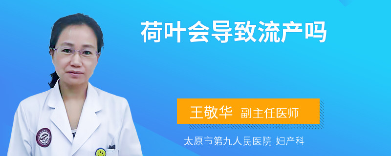 荷葉會(huì)導(dǎo)致流產(chǎn)嗎