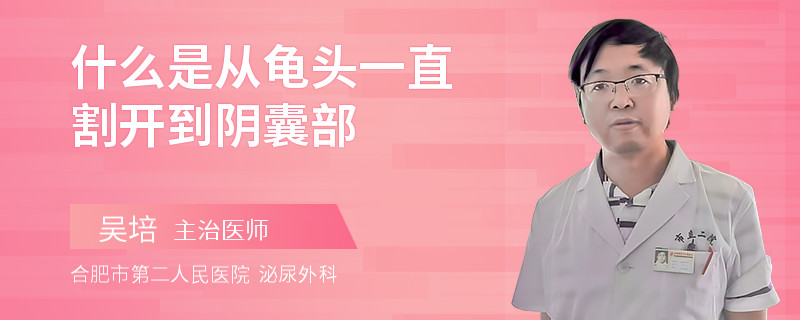 什么是從龜頭一直割開到陰囊部