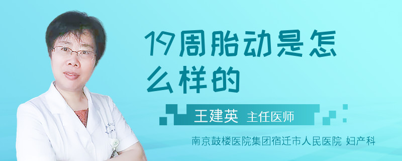19周胎动是怎么样的