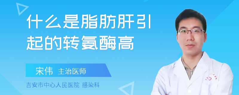 什么是脂肪肝引起的轉(zhuǎn)氨酶高