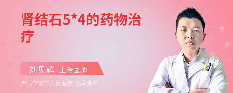 肾结石5*4的药物治疗