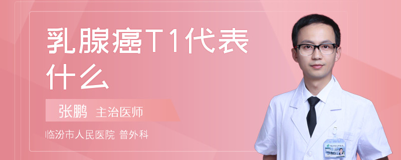 乳腺癌T1代表什么