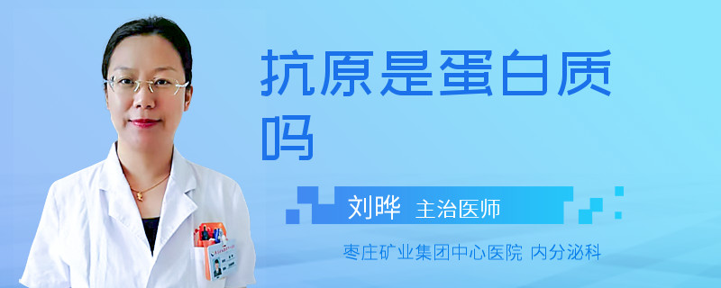 抗原是蛋白质吗