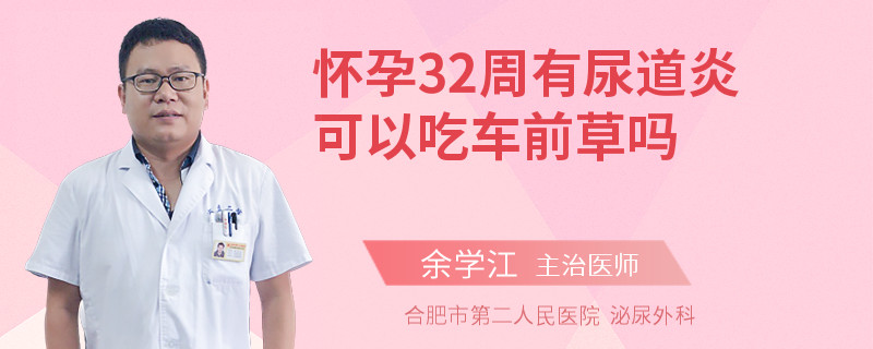 怀孕32周有尿道炎可以吃车前草吗