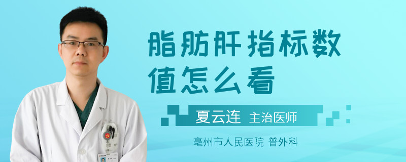 脂肪肝指标数值怎么看