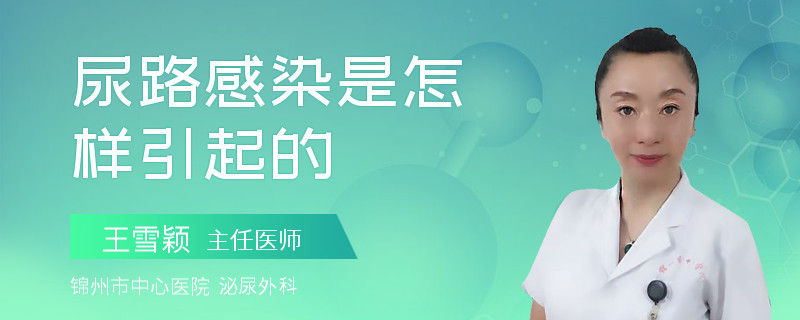 尿路感染是怎樣引起的