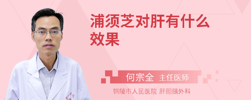 浦須芝對肝有什么效果