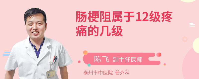 肠梗阻属于12级疼痛的几级