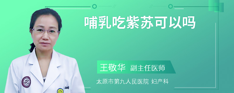 哺乳吃紫苏可以吗