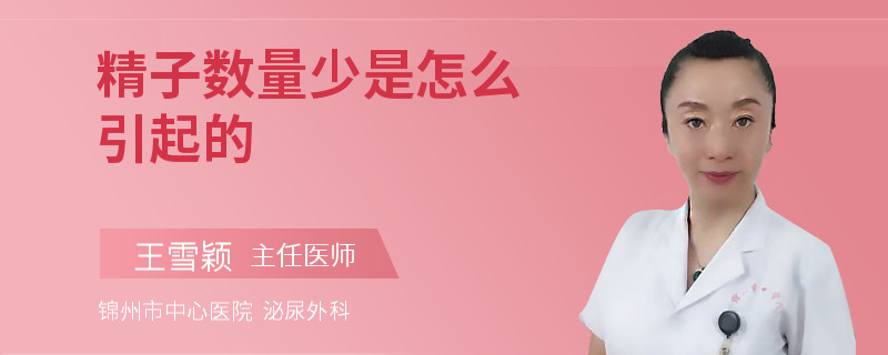 精子數(shù)量少是怎么引起的