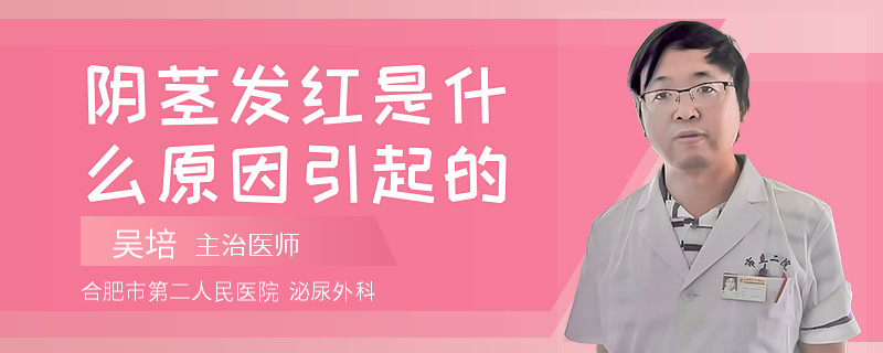 陰莖發(fā)紅是什么原因引起的