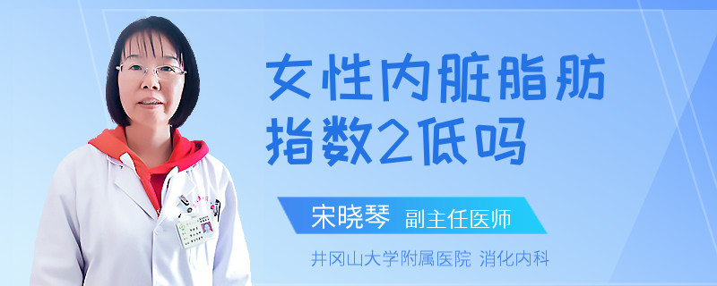 女性内脏脂肪指数2低吗
