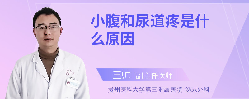 小腹和尿道疼是什么原因