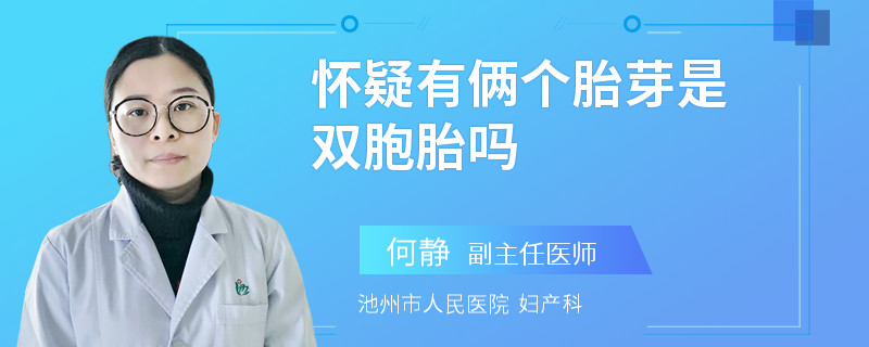 怀疑有俩个胎芽是双胞胎吗