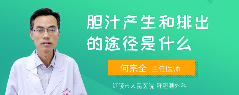 膽汁產(chǎn)生和排出的途徑是什么