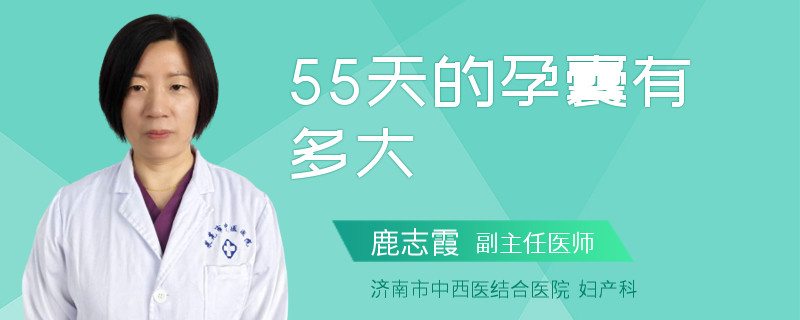 55天的孕囊有多大