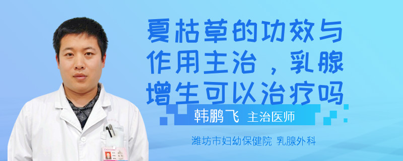 夏枯草的功效與作用主治，乳腺增生可以治療嗎