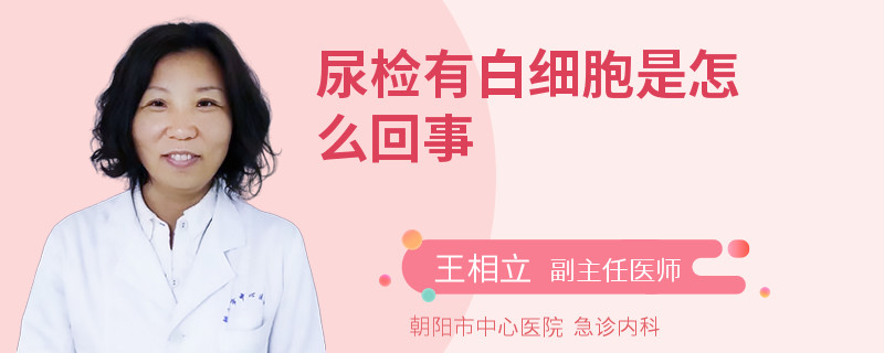 尿檢有白細胞是怎么回事