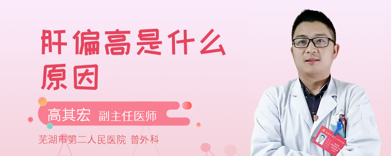 肝偏高是什么原因