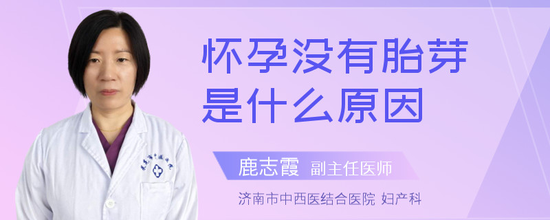 懷孕沒(méi)有胎芽是什么原因