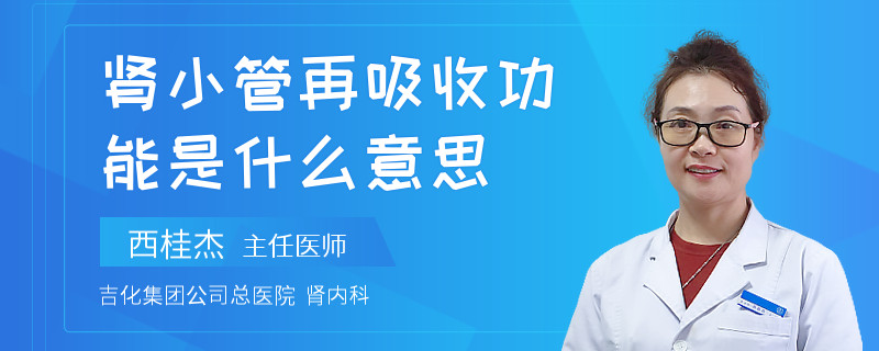 肾小管再吸收功能是什么意思