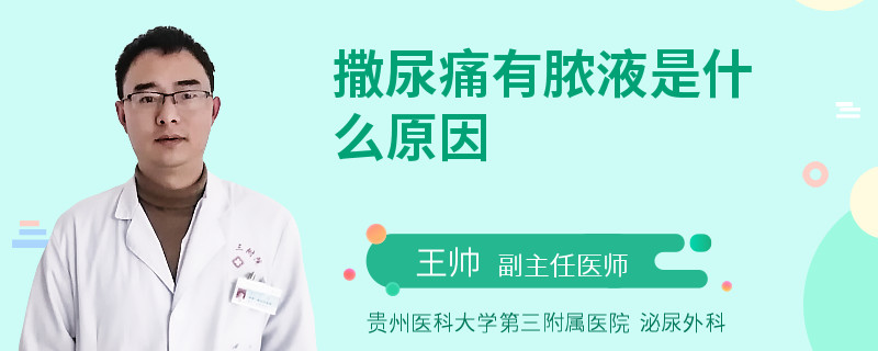 撒尿痛有脓液是什么原因