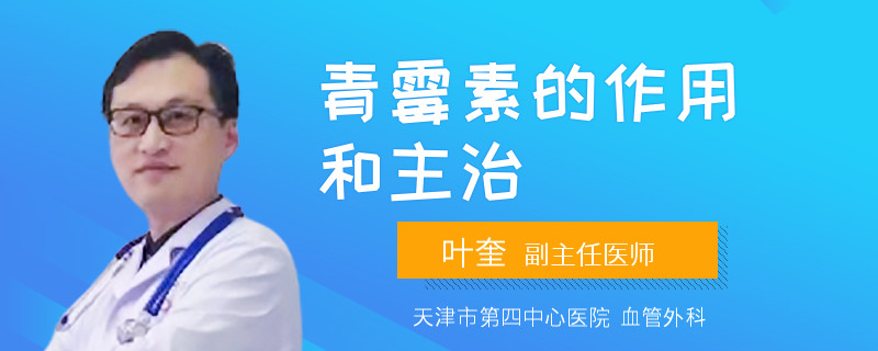 青霉素的作用和主治