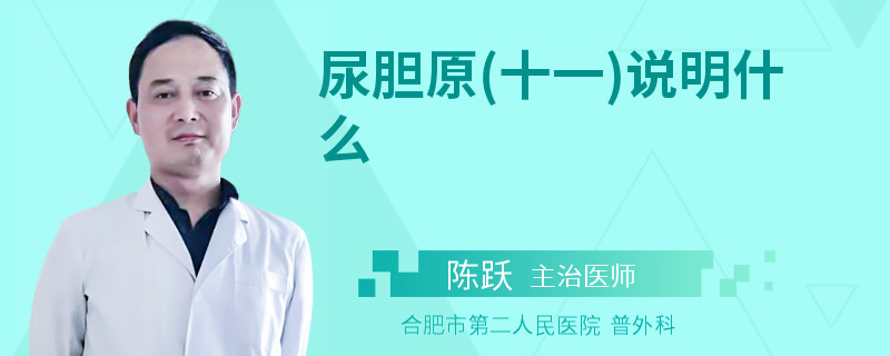 尿胆原(十一)说明什么