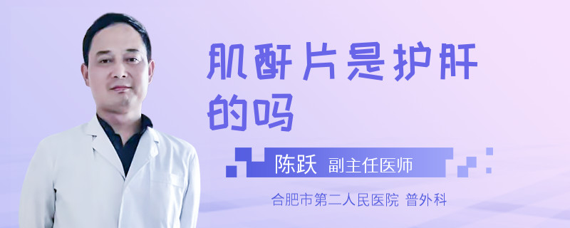 肌酐片是護(hù)肝的嗎
