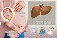 妊娠期急性脂肪肝