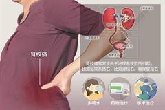 肾区疼痛