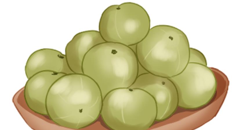 “一口气吃了两颗！”华春莹点赞的“南方人参”究竟有何魅力？