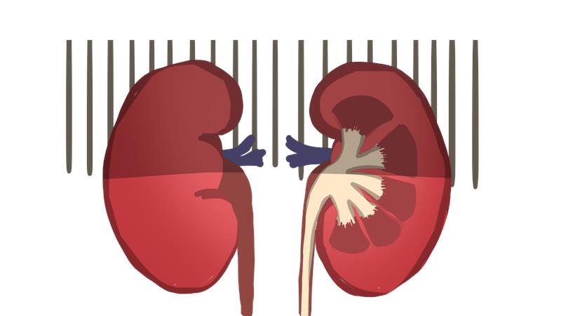 【世界肾脏病日】“00”后宝妈确诊慢性肾脏病五期 这个沉默的疾病盯上年轻人