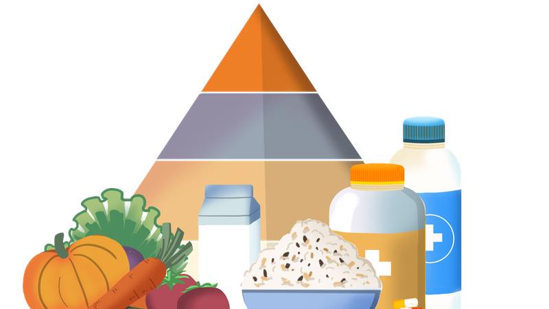 飲食金字塔迎 “翻轉”：關注生殖健康，解鎖適合國人的飲食密碼