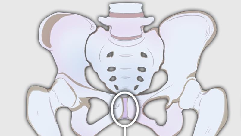 这种痛，孕妈妈千万别硬扛！科学应对耻骨联合分离
