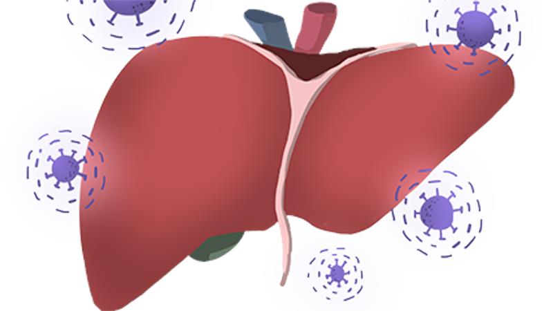 【全国爱肝日】一起吃饭就会传染乙肝？医生支招科学防控