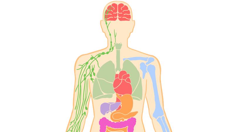 春分“懶人”養(yǎng)生攻略：調(diào)和陰陽，輕松告別春困與內(nèi)耗
