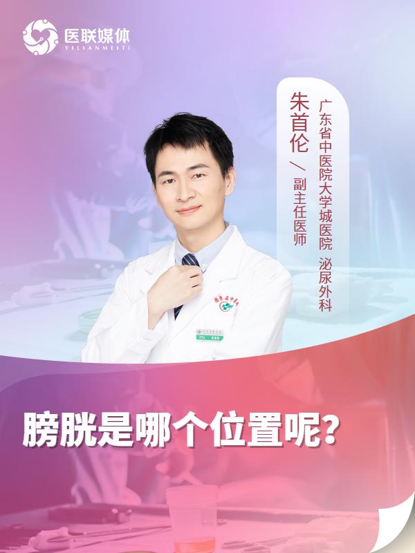膀胱是哪个位置呢？