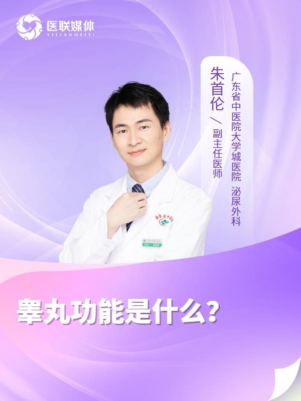 睾丸功能是什么？