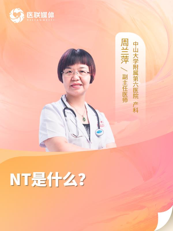 NT是什么？