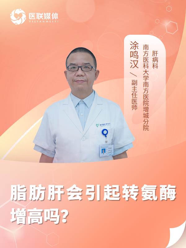 脂肪肝会引起转氨酶增高吗？