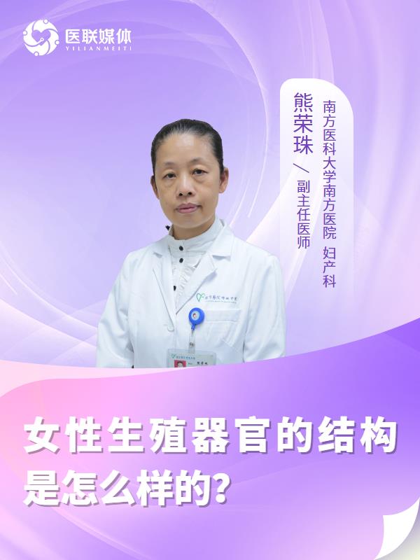 女性生殖器官的结构是怎么样的？