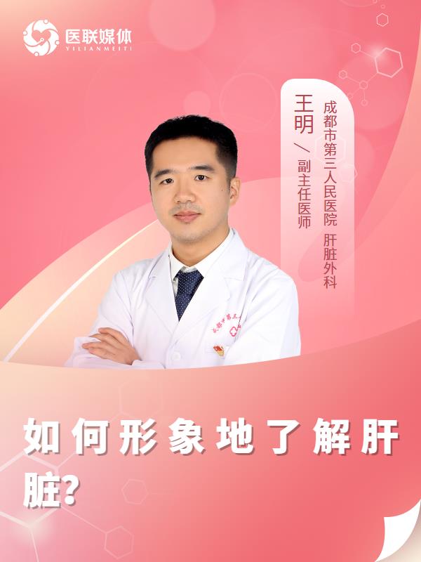 如何形象地了解肝脏？