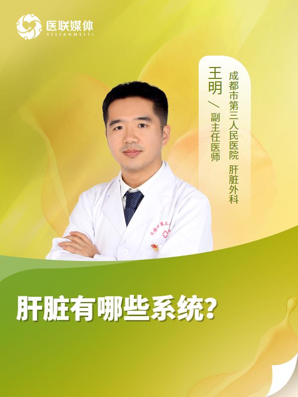 肝脏有哪些系统？