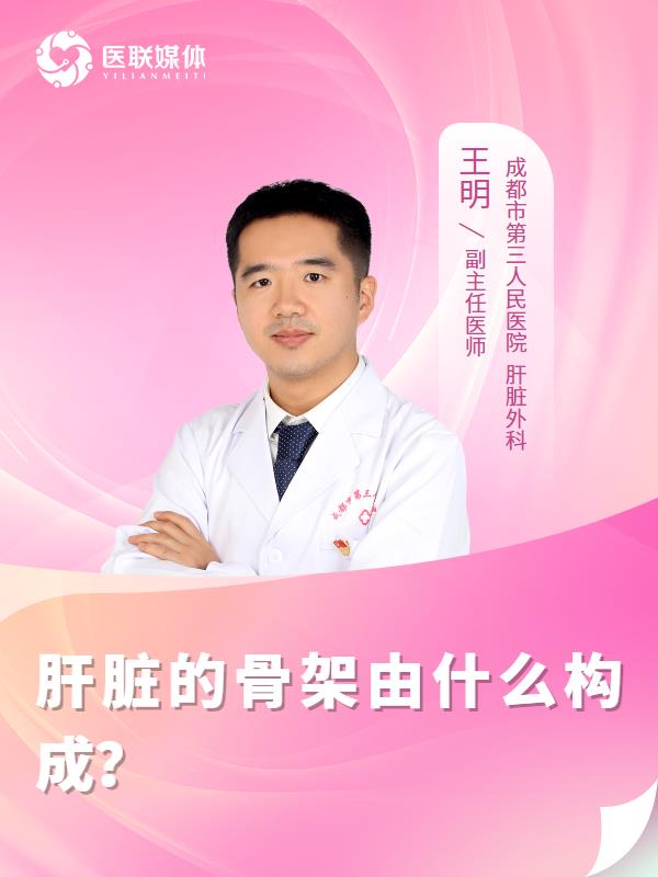 肝脏的骨架由什么构成？